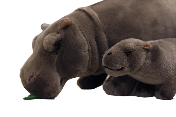 Moo Deng plushie set displayed as shelf decor, internet-famous Thai zoo baby pygmy hippo collectible duo
