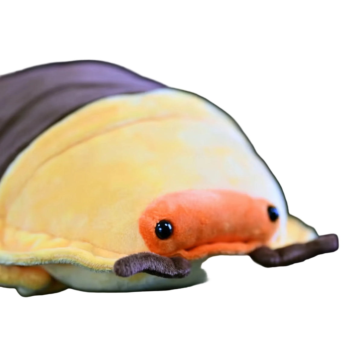 Roly poly stuffed animal 35cm size comparison held in adult hand