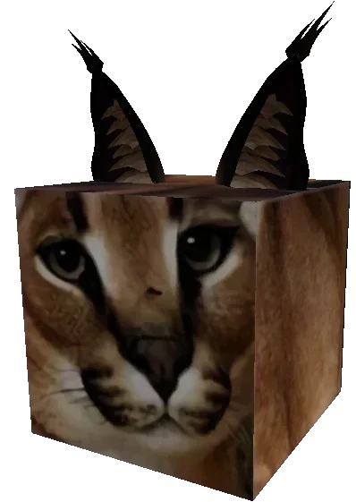 ig Floppa the caracal Gosha lying on a windowsill, the original viral   meme cat behind Roblox's Raise a Floppa game