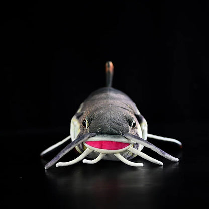 Amazon river monster catfish stuffed animal red tail fin close up