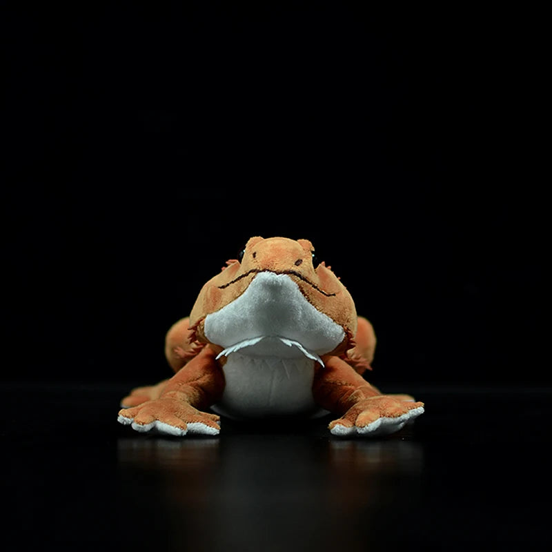 Bearded dragon plush gift box presentation for collectors and reptile fans