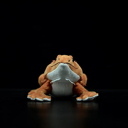 Bearded dragon plush gift box presentation for collectors and reptile fans