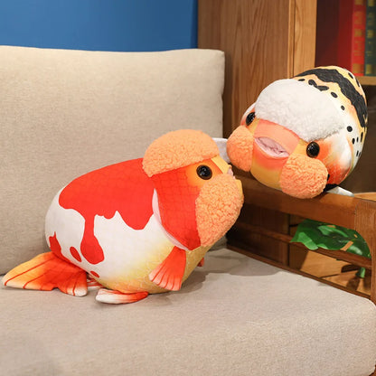 Bi-Colour And Calico Ranchu Plushies
