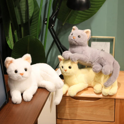 Black British Shorthair cat plush collectible displayed on a wooden shelf