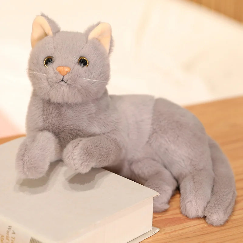 British Shorthair cat plush gift set all four colors on display together