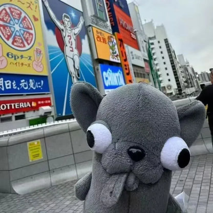 Close up of chihuahua plush toy face with oversized eyes