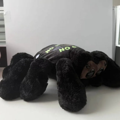 Close up of large glossy dome eyes on cute spider plush with clothing on