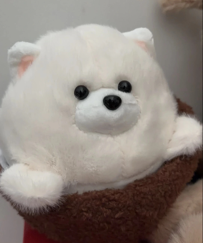 Coconut dog plush displayed on shelf as desk decor - kawaii plush toy collectible