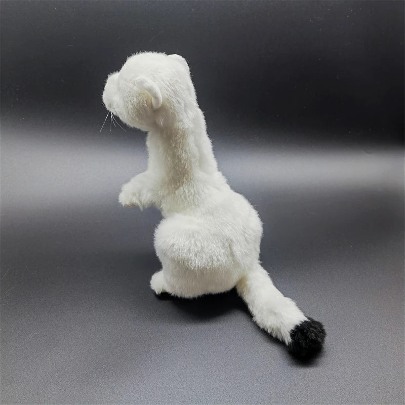 Comparison of stoat plush toy next to a standard ruler for scale