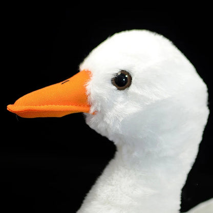 Duck plush duo mallard and white duck side by side display