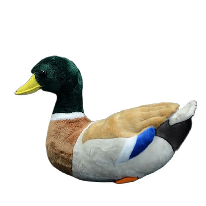 Duck plushie gift box presentation mallard and white duck pair