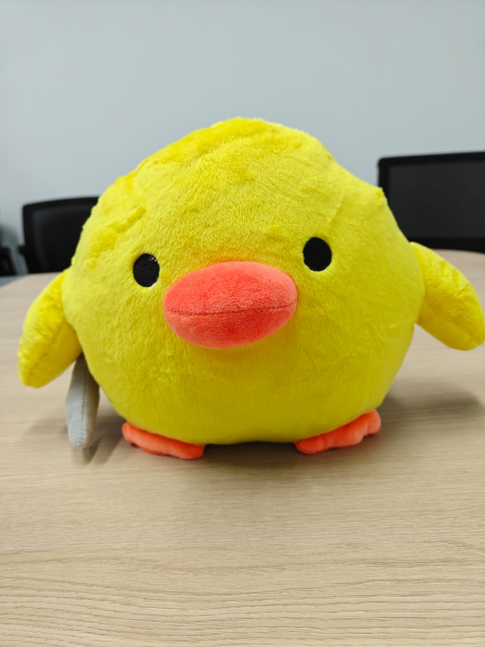 Front side duck plush