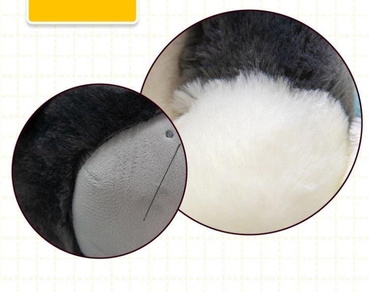 Funny cat plush doll shown from slight overhead angle emphasizing the sassy expression
