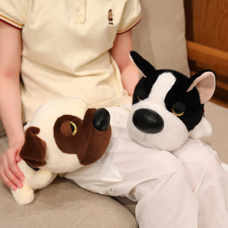 Funny dog gift plushie wrapped with ribbon as a birthday present