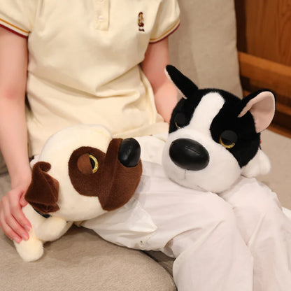 Funny dog gift plushie wrapped with ribbon as a birthday present