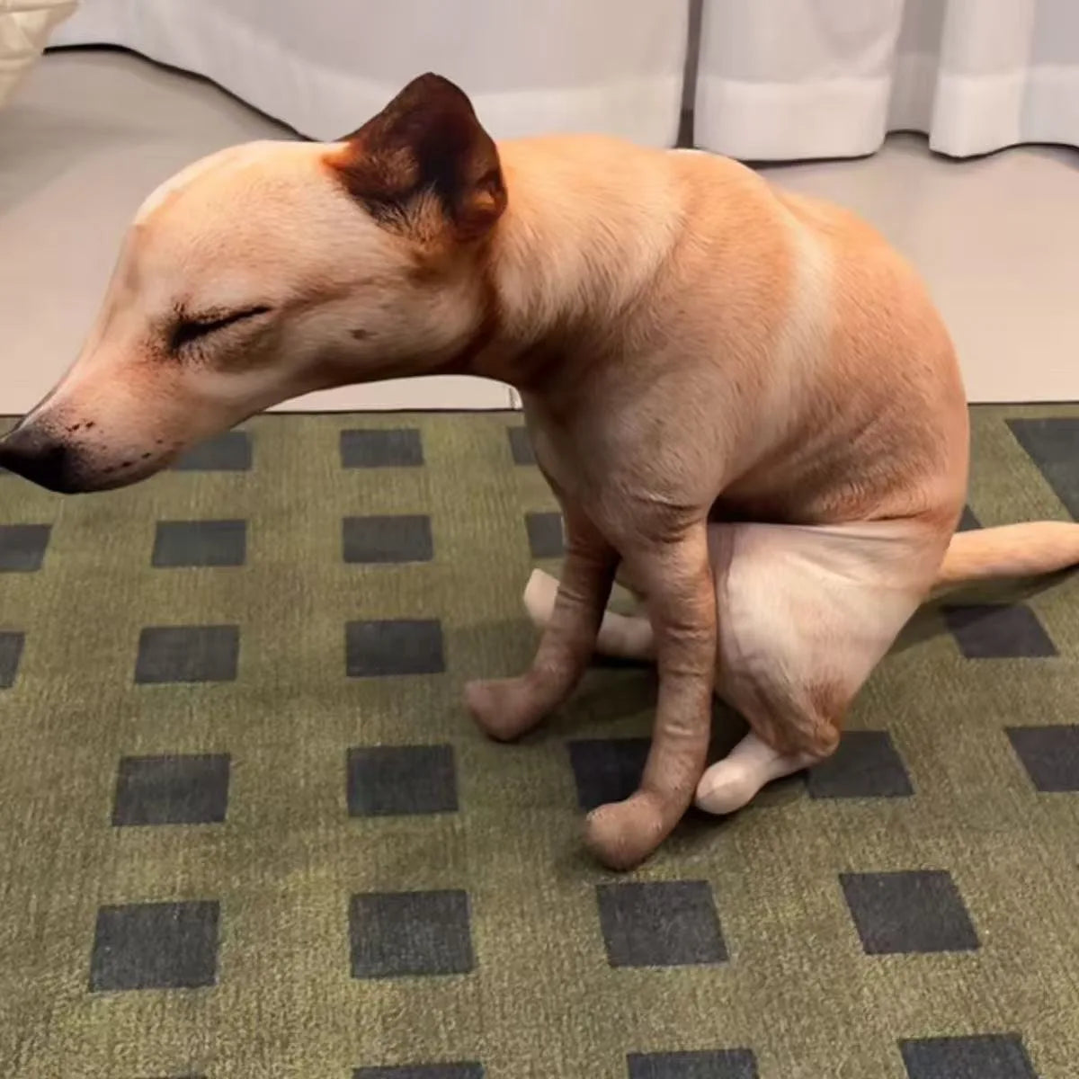 Funny dog plush gag gift showing dog in crouching poop position full view