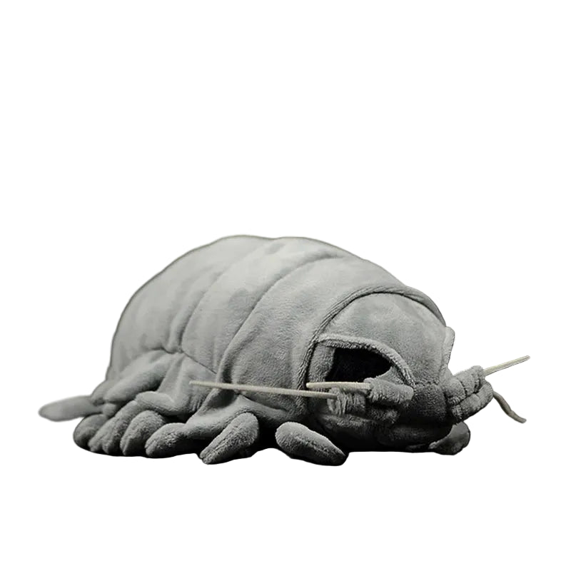 Giant isopod plush toy 30cm realistic deep sea crustacean on white background