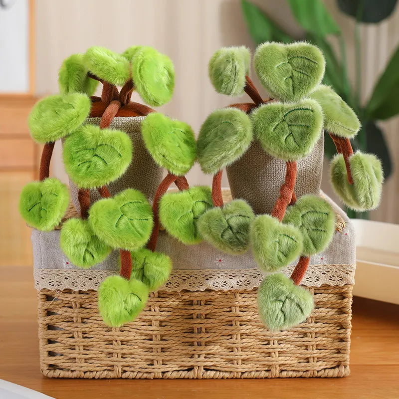 Golden pothos plush green leaf detail close up studio shot