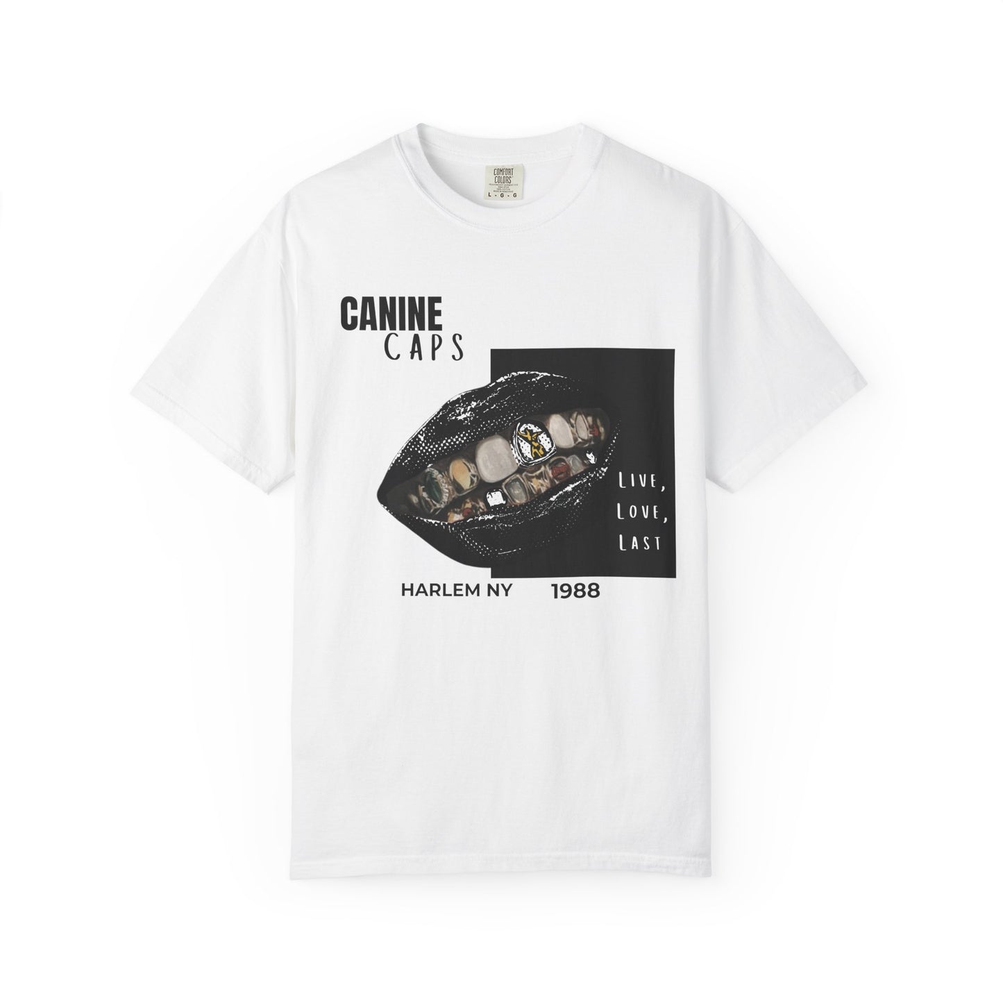 Hip-hop canine street graphic t-shirt front view flat lay