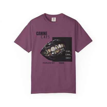 Hip-hop fashion heavyweight tee comfort colors garment dye texture
