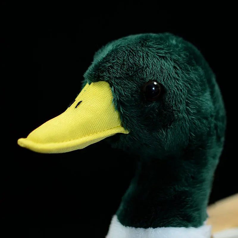 Hyper-realistic duck toy pair displayed on decorative shelf
