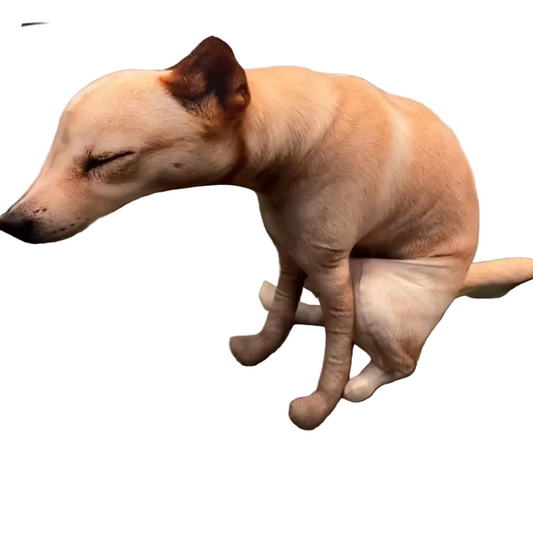 Hyper realistic 3D pooping dog pillow small 15cm size on white background