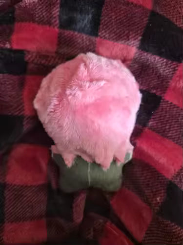 JJBA Stardust Crusaders plush toy Kakyoin Hierophant Green

