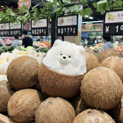 Kawaii coconut dog stuffed animal side view showing fluffy white puppy and coconut base