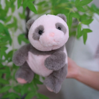 Kawaii panda plush newborn giant panda cub soft toy gift presentation