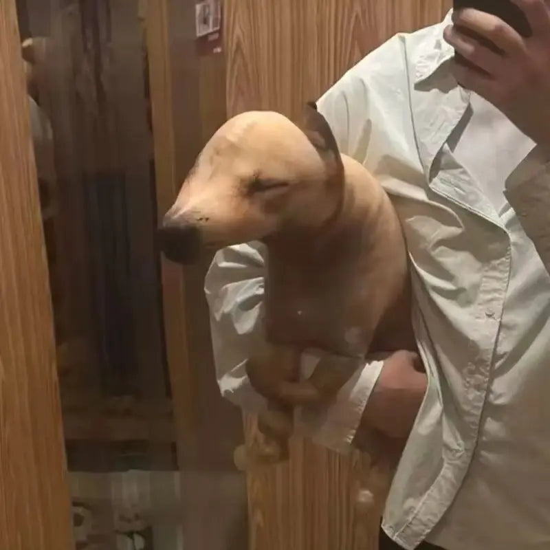 Large 60cm pooping dog pillow plush on bathroom floor shown for scale
