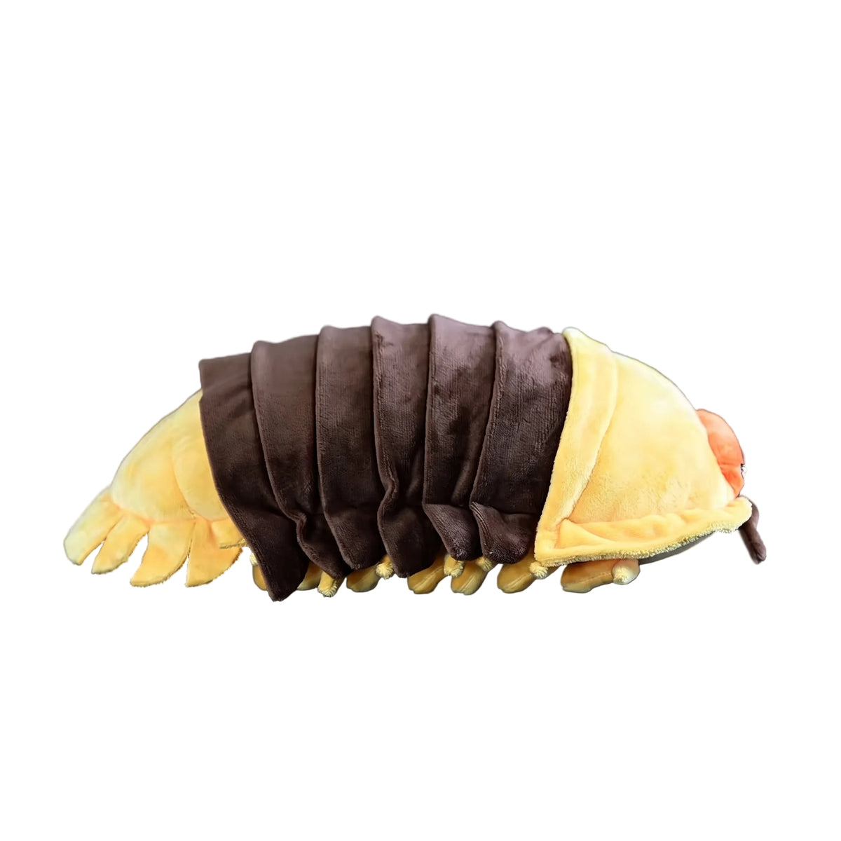 Lifelike woodlouse plush toy showing detailed segmented body from above