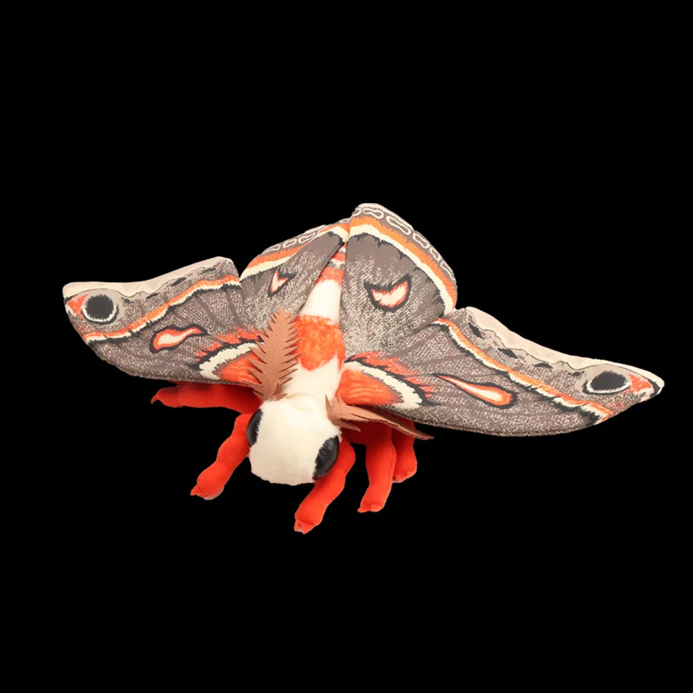 Luna moth plush versus Cecropia Moth plush comparison photo