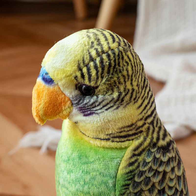 Realistic Budgie Plush Toy 23cm | Lifelike Budgerigar Stuffed Animal | 5 Color Variants