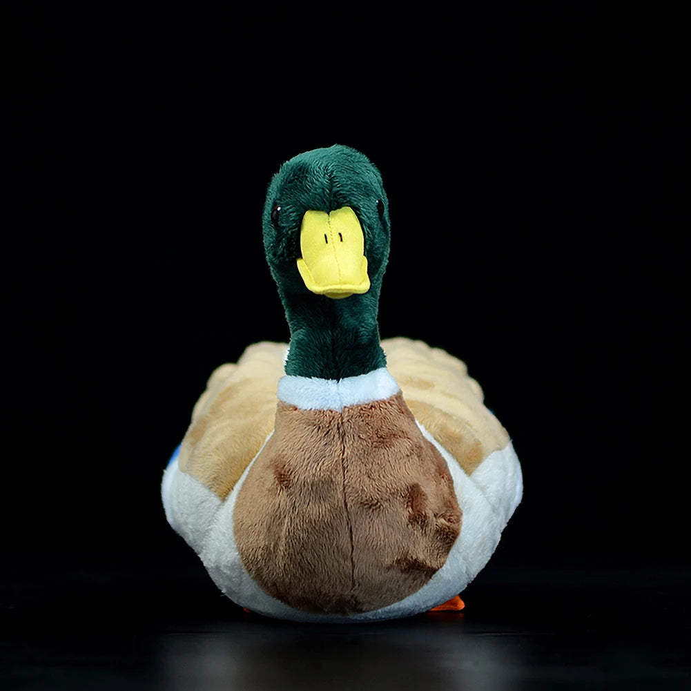 Mallard duck stuffed animal close-up feather texture detail