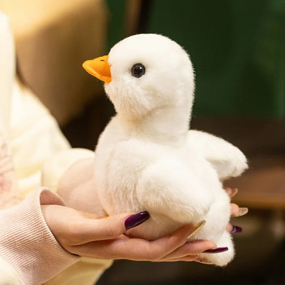 Mini duck plush toy on wooden shelf as duck room decor