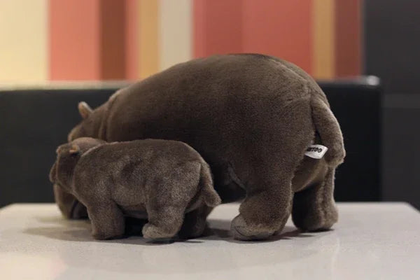 Moo Deng pygmy hippo plush held in hands showing scale, super soft stuffed animal collectible
