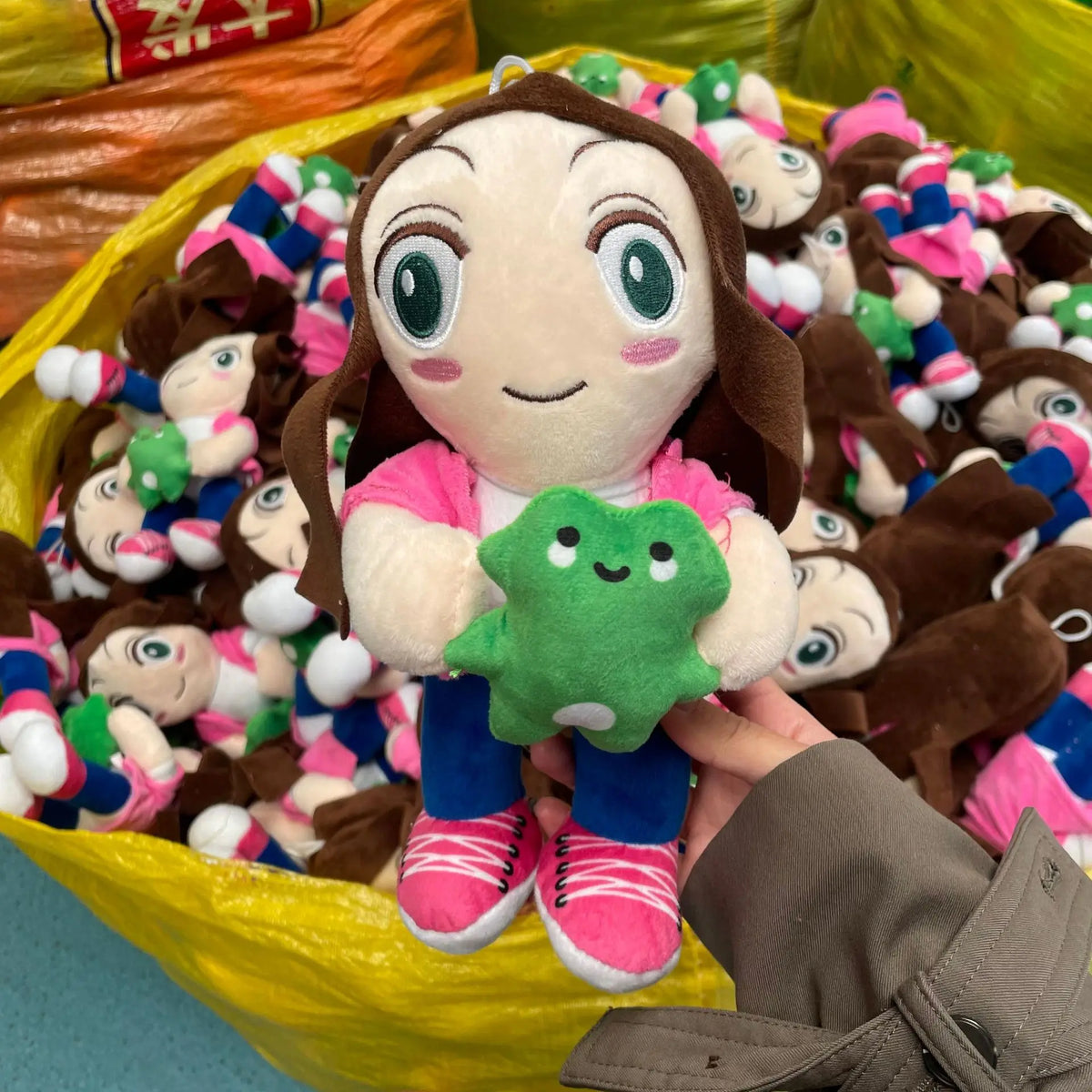 Mr. Lonely Frog plush and Magic Expression Girl plush kids music video plushies displayed