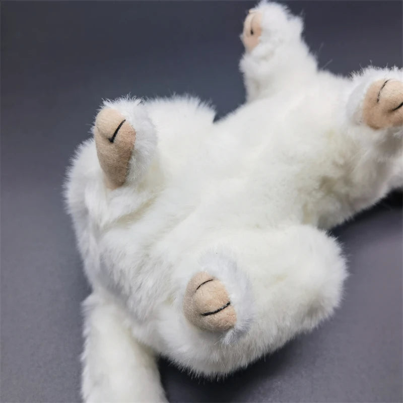 Mustela erminea stuffed animal for wildlife education