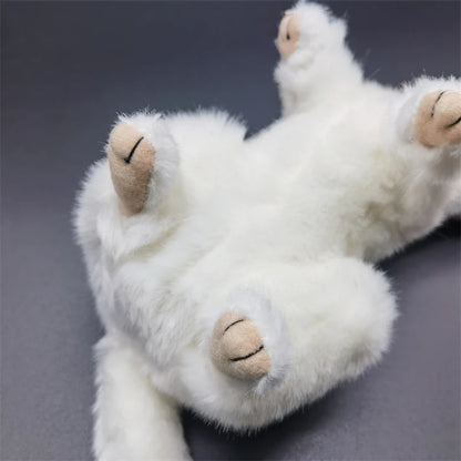 Mustela erminea stuffed animal for wildlife education