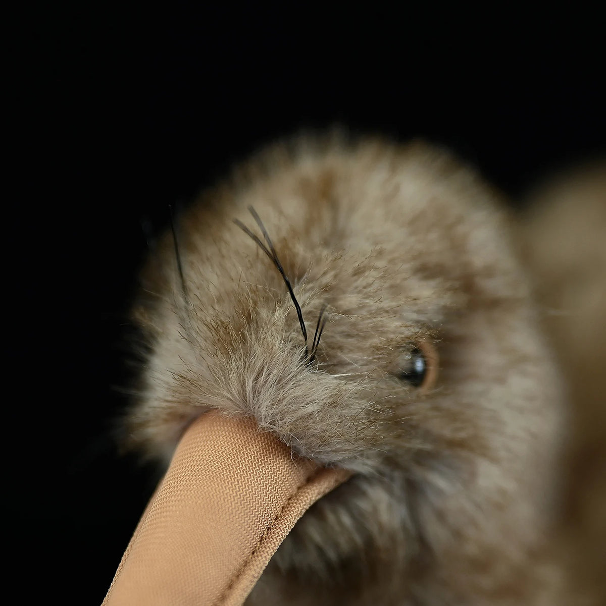 New Zealand kiwi bird plush with hair like fur showing material quality