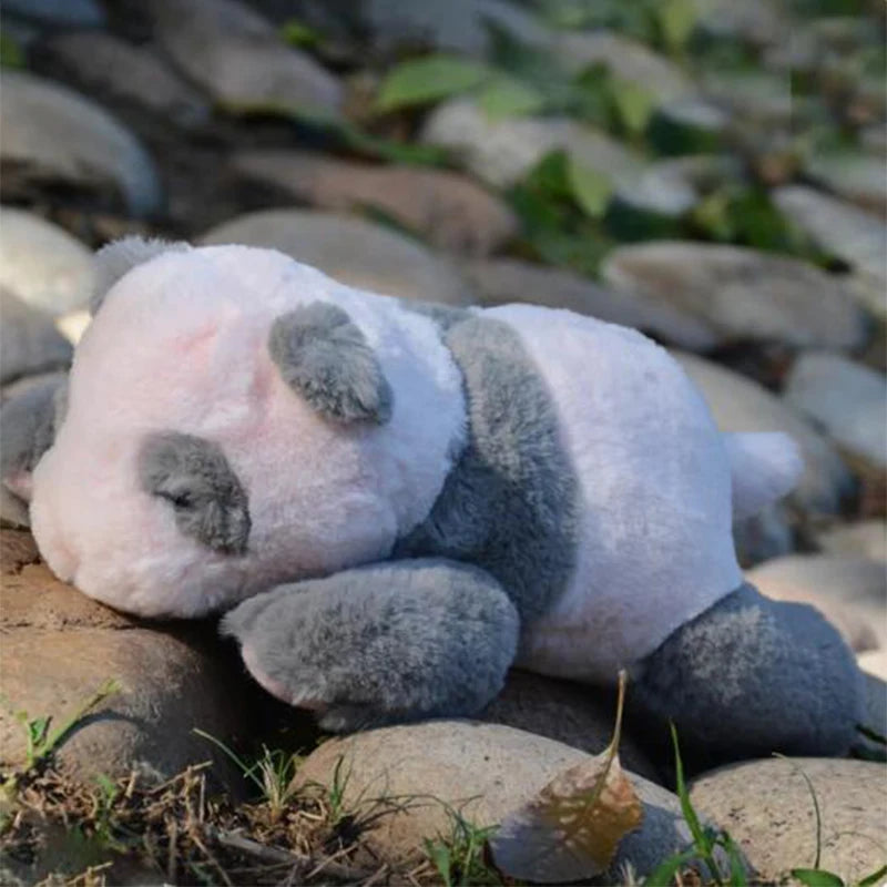 Pink baby panda plush 20cm and 30cm size variants side by side comparison