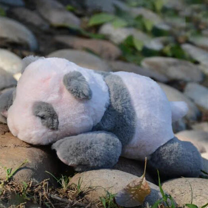Pink baby panda plush 20cm and 30cm size variants side by side comparison