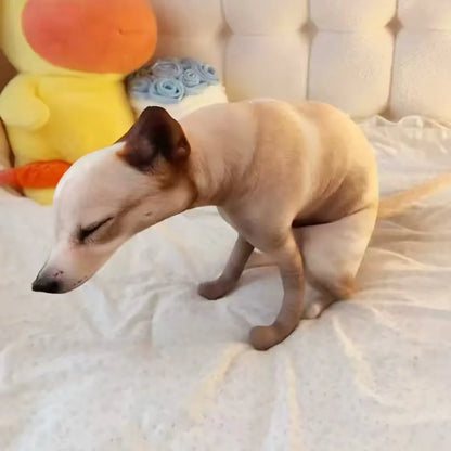 Pooping dog pillow displayed on living room sofa as prank home decor