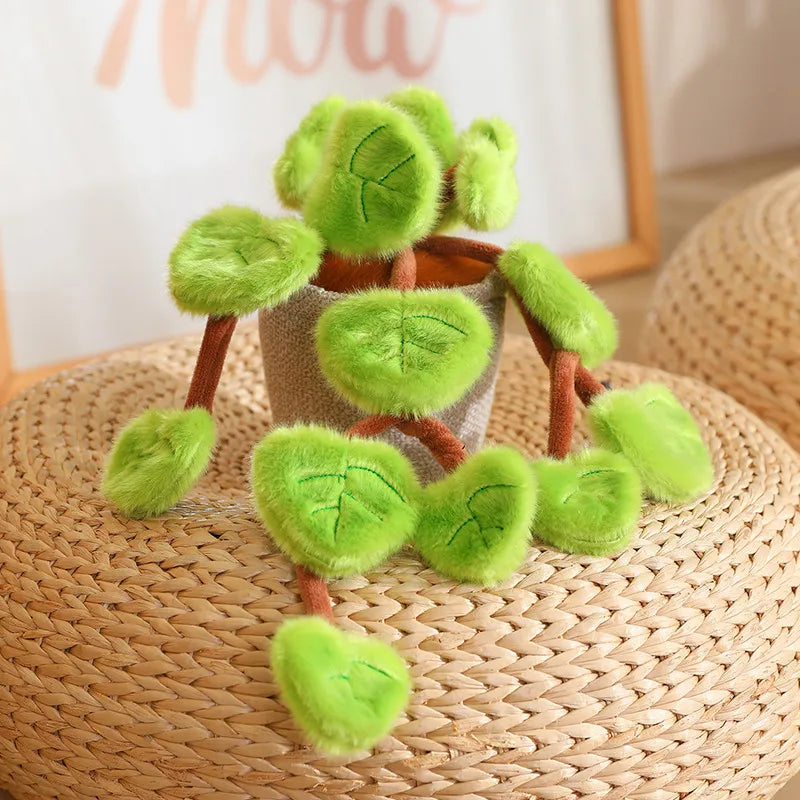 Pothos plant plush 18cm trailing vine draped over ceramic pot beside succulent shelf decor