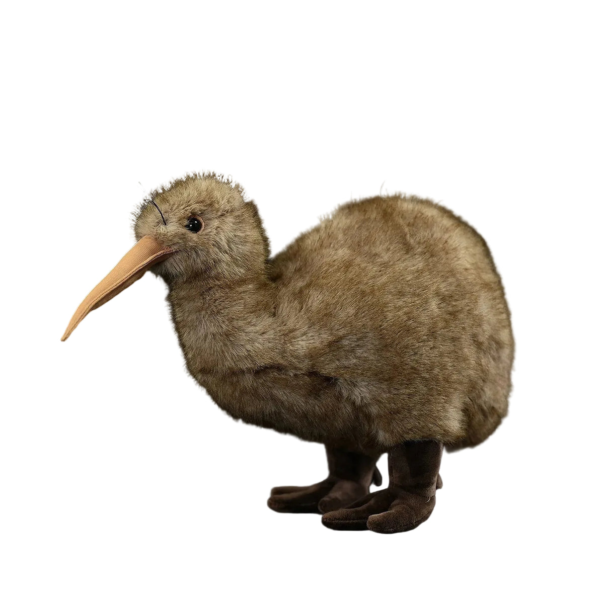 Realistic New Zealand kiwi bird plush toy 25cm front view on white background