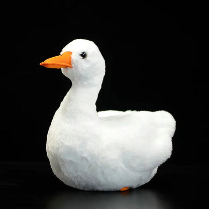 Realistic duck plush toy pair standing upright on white background