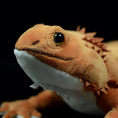Realistic lizard plush toy showing lifelike eye detail and earthy skin tones