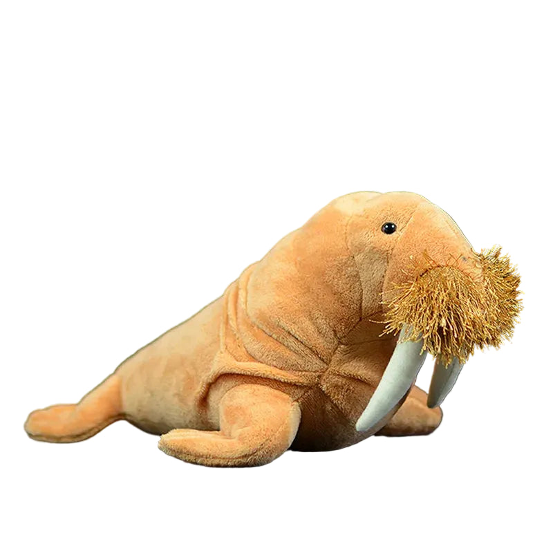 Realistic walrus plush 30cm front view with long white tusks and bushy whiskers