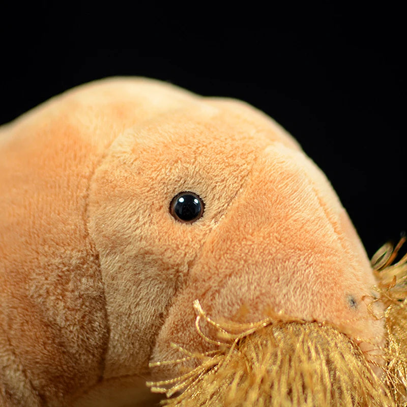 Realistic walrus toy sitting upright on wooden display shelf