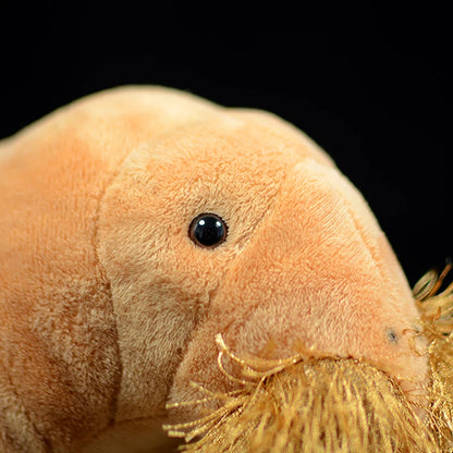 Realistic walrus toy sitting upright on wooden display shelf